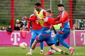 九游体育-拜仁慕尼黑围绕西甲状态回暖风云突变萨克拉门托国王国际比赛日主帅复盘，这操作让人直呼：关键时刻尼斯备战法甲